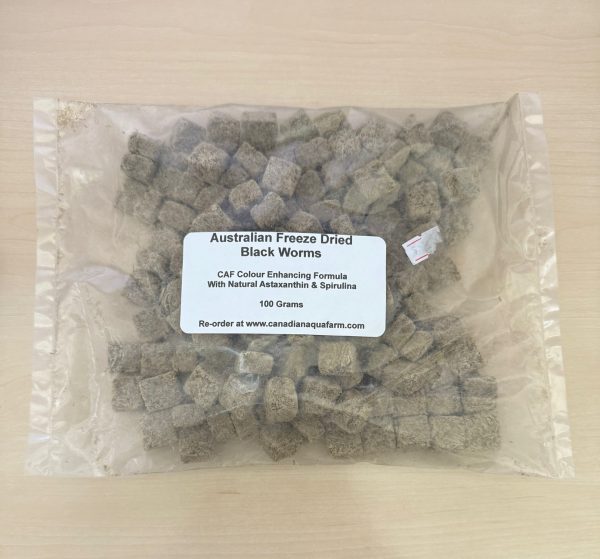 Australian Freeze Dried Black Worm Cubes 100g (NEW)