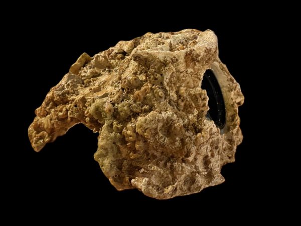 Tunze Stream Rock (USED)