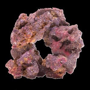 Caribsea Liferock Donut