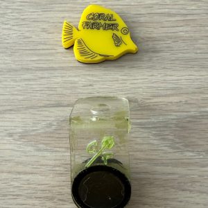 Coral Farmer Single Hole Frag Rack (USED)