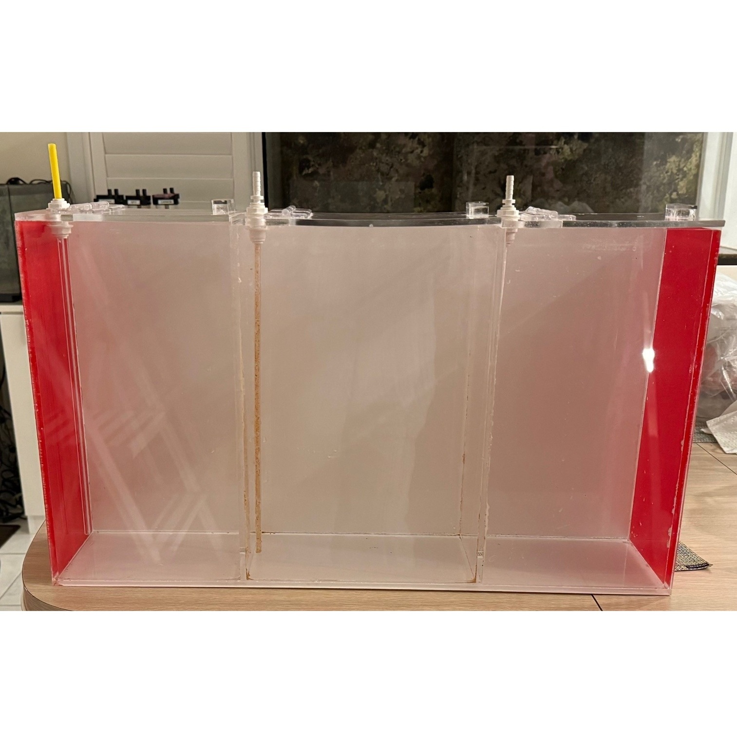 Custom Made Extra Large 3-Compartment Acrylic Dosing Container (USED)