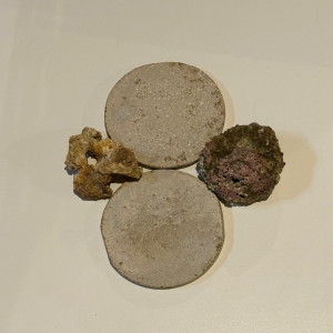 4 Inch Ceramic Frag Discs and Small Frag Rocks (USED)