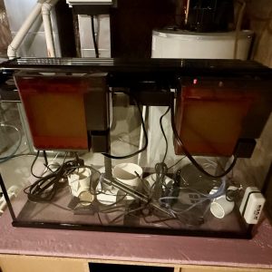 Fluval Premium LED 29G Tall Quarantine Tank Kit (USED)