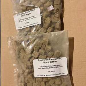 Australian Freeze Dried Black Worm Cubes (NEW & USED)